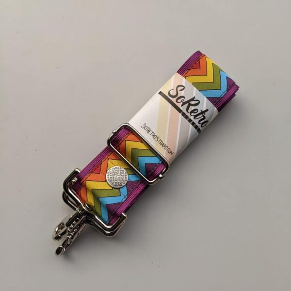 SS0221-Ziggy-Rainbow-SHORTY-Fusckia-LF-Silver