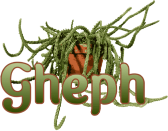 Spring Gheph Harvest 2025