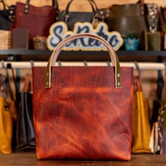 Alternative view of SoRetro Mini+ FYG Leather Crossbody Tote – Mars Valley with Banyan Bay on Super Special Striped SoRetro Webbing – Bronze Hardware